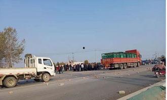 2025杞县柿园车祸最新爆料,最新爆料揭示悲剧真相