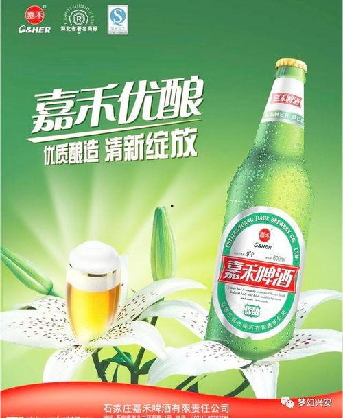 兰州啤酒爆料视频最新,探寻品牌背后的故事与魅力